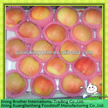 red apple factory with low price